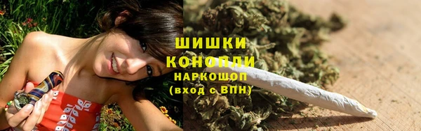 дживик Козловка