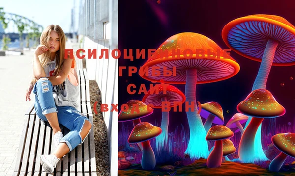 скорость Кинешма