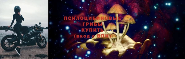 ECSTASY Киреевск