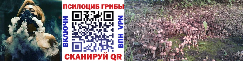 Купить закладки  Белгород  Галлюциногенные грибы ЛСД 